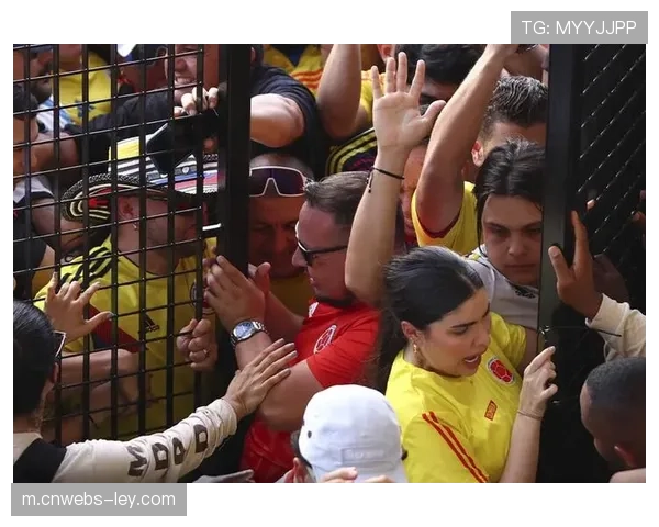 反思：足球流氓文化再抬头，欧洲各国政府计划加强球场安保立法