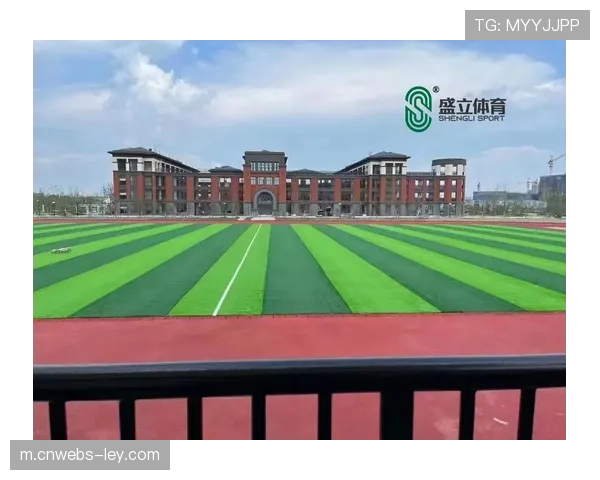 波尔多大球场草皮质量引争议,俱乐部计划夏季全面更换 波尔多大球场草皮质量引争议,俱乐部计划夏季全面更换